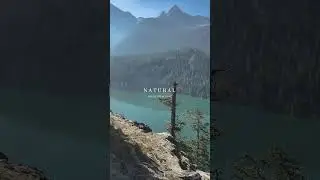 #DroneFootage #FoggyForest #PNWMagic #NatureVibes #CinematicViews #Adventure