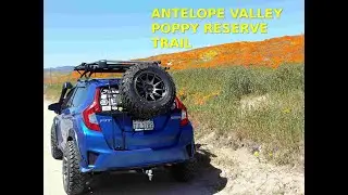 Antelope Valley Poppy Reserve Trail - Lifted Camper Overland Off Road Honda Fit Jazz