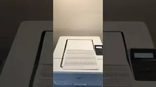 HP m402dne