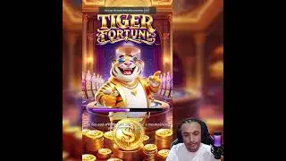 Gold Gamer|Hilarious PUG Antics Caught on Camera