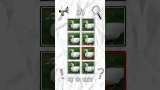You are a what?! Say the Word on Beat Challenge like and subscribed #short #onbeatchallenge #beach