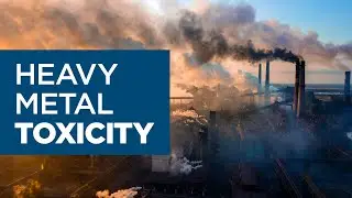 Heavy Metal Toxicity Explained: Why Detoxing Is Essential