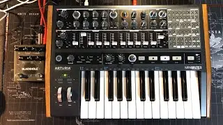 Arturia MINIBRUTE 2 & Eventide Blackhole Pedal - A Few Easy Programming Ideas