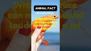 What CREATURE can MAKE a SOUND LOUDER than a JET ENGINE🚂?| #shorts #shortsfeed #subscribe