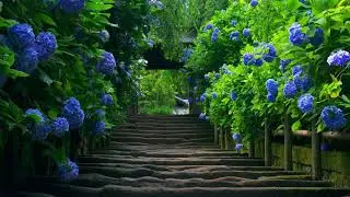 Inspirational Cites - Ackshat Deoli