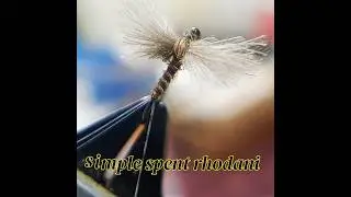 simple spent rhodani #dryfly fishing