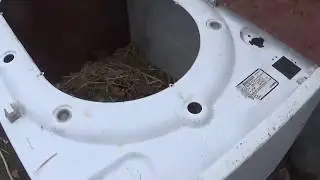 O soluție simplă, rapidă și gratis-Compostor de resturi vegetale din mașină de spălat reciclată