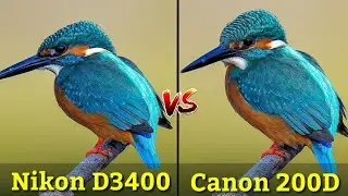 Canon 200D VS Nikon D3400 DSLR Camera Comparison|Which is Better Camera|Canon 200D Review,Zoom Test