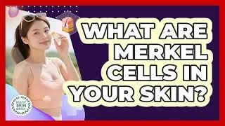 What Are Merkel Cells In Your Skin? - Healthy Skin Brief