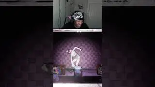 THEY WAS GIGGIN #shweey86 #twitch | #shweey86 on #Twitch
