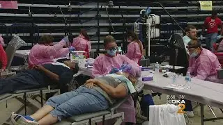 Non-Profit Offers Free Dental Care At Palumbo Center