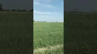 12.03.2024 y. ekilgan ARPA yer maydonimizga, tashrif buyurdik! Natijalar a'lo darajada...