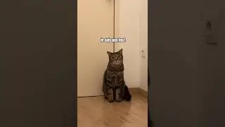 C&rsquo;est un bon n&eacute;gociateur ! 😅￼