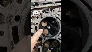 no compression in one cylinder Audi A4 engine!
