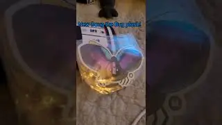 Doug the Bug plush unboxing #animalcompany #gorillatag #gorillatagquest #vr #Doug