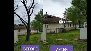 Dead Maple Tree  BEFORE AND AFTER- .4 Seasons Tree Service Springfield, MO.