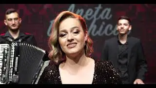 Aneta Draghiciu și formația Hyperion&nbsp;music  - Te iubesc asa de mult (Nou 2023) Cover