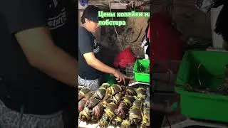 Морепродукты в Индонезии , базар. #youtube #travel #shorts #short #indonesia #nature #приколы