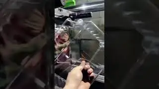 Mirror on the Mold: The Shiny Solution to Your Injection Molding Needs!