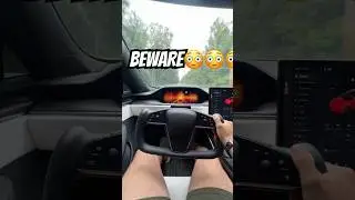 DO NOT BUY A TESLA MODEL S PLAID AND DO THIS 😳