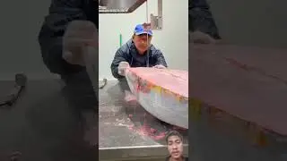 proses pemotongan ikan tuna dari freezer