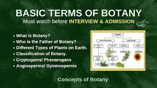 Botany Basic Terms Asked in Job Interviews & Exams| Classification of Plants |Cryptogam ,Phanerogam