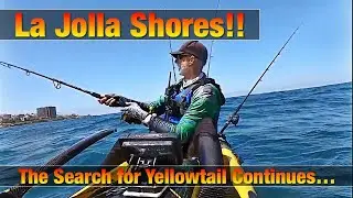 Kayak Fishing La Jolla Shores - The Search for Yellowtail Continues