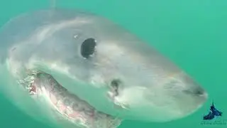 Oceans Research internship 2018: in 30 seconds