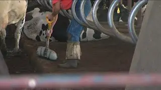 Continuing the conversation on Idaho farm workers