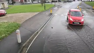 Route 8 Newport To Ryde Via SN and BE