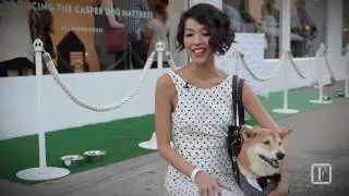 Meet the Owner of the Instagram Famous &lsquo;Menswear Dog&rsquo; | Fortune