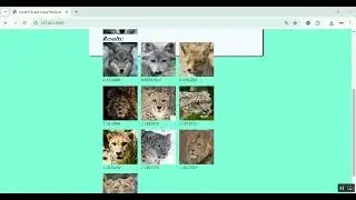 Content Based Image Retrieval in Python Projects