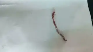 #shortvideo #viralvideo