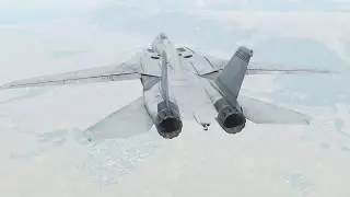 F14 - (Top) Guns only (DCS)