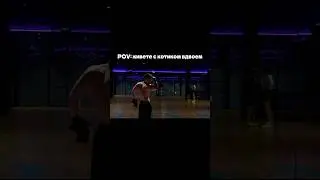 Выложили для вас с котиком программу тренировок в тгк ‼️