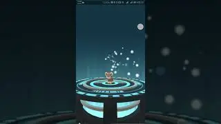 Litleo evolution into Pyroar MALE