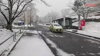 Beauty of Japan-1: Kyutech-Iizuka campus during snowfall. ☃️|| 降雪時の美しい九工大飯塚キャンパス