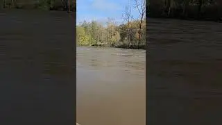 River Maas Belgi&euml; #youtubeshorts #trending #explore