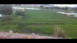 beauty of bezawada city outcuts 11 oct 2024
