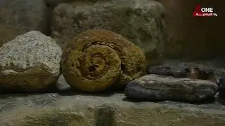 صباح الأردنية | كهوف أبو جابر أو ما يعرف بكهف العاصي