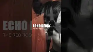 ECHO DECAY (THE RED ROOM)