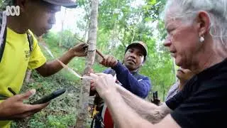 Timor Leste farmers working to turn degraded land into new jungle   Pandemic Warriors  online video