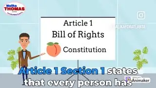 Georgia Constitution - Bill Of Rights Paragraph I