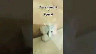 Pounki