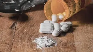 Opioid crisis costing Virginia billions