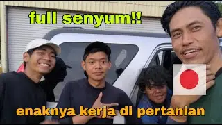 FULL SENYUM!! ENAKNYA KERJA DI PERTANIAN BROKOLI JEPANG