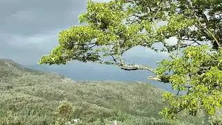 Rainbow detected at Yercaud-pakoda point