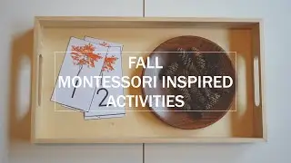 Autumn / Fall | Montessori Inspired Activities for Toddlers & Preschoolers | Fall Activities
