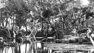 Townsville Voices: Memories of Townsville