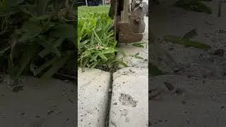 #satisfying#asmr#St Augustine#lawn#Edger
